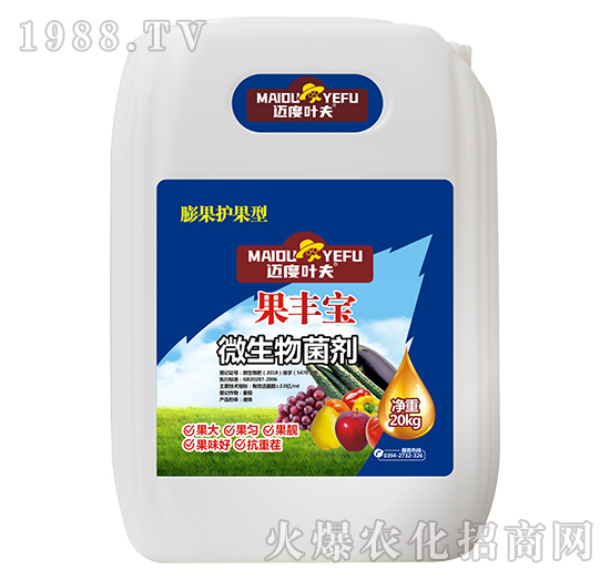 ����o����΢�������-���S��-�~���~��