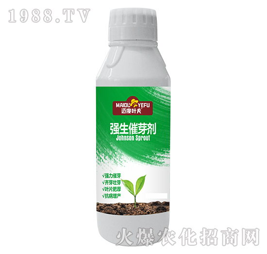 ������ѿ��-�~���~��