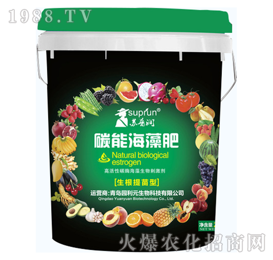 ̼�ܺ����-�@��Ԫ