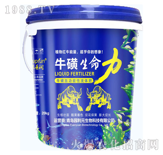 ����������-�@��Ԫ