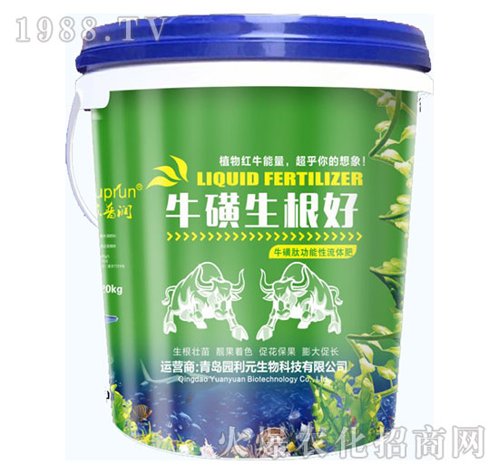 ����������-�@��Ԫ