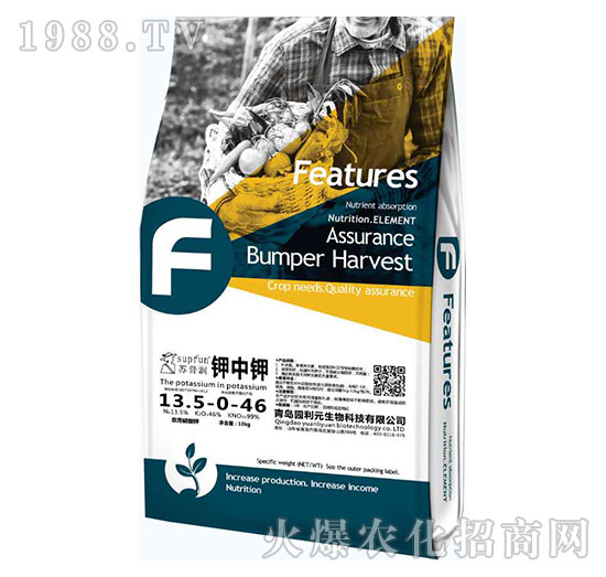 ����13.5-0-46-�@��Ԫ