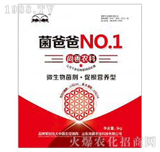 ���ְ�-��ؾ�����