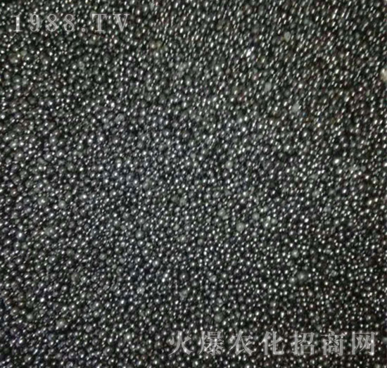 �������-ʩ���_