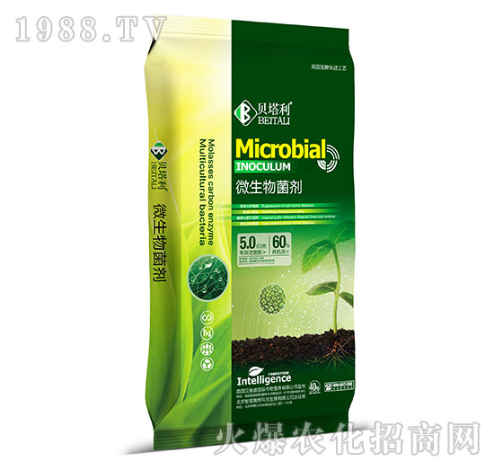 ΢�������-ؐ����