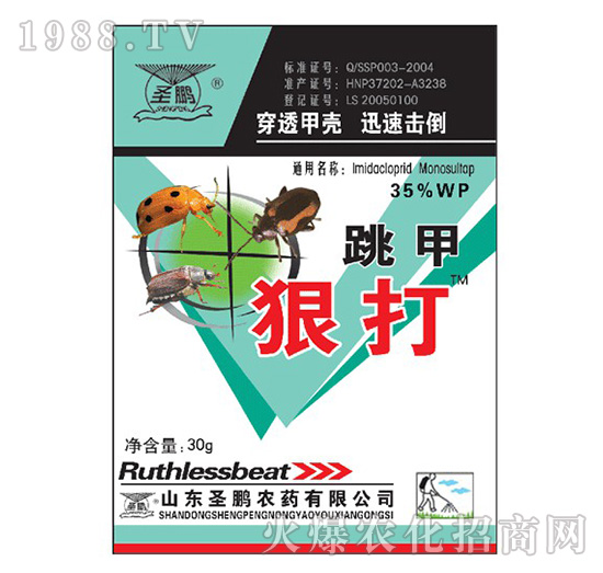 ���׺ݴ�-ʥ�i