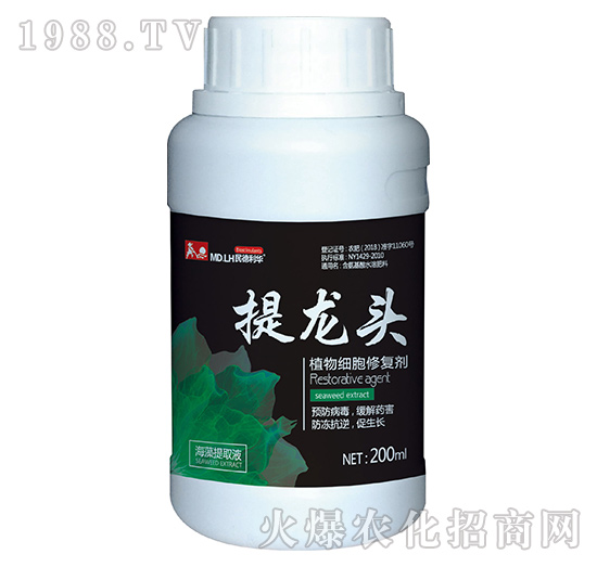 ֲ�：���ޏ̈́�-�����^-������A