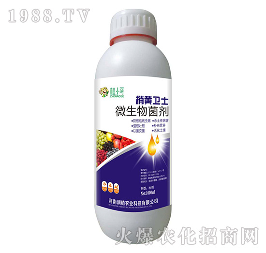 ΢�������-���S�l(w��i)ʿ-��(r��n)ֲ