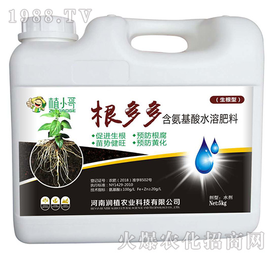 ��������ˮ�ܷ�-�����-��ֲ