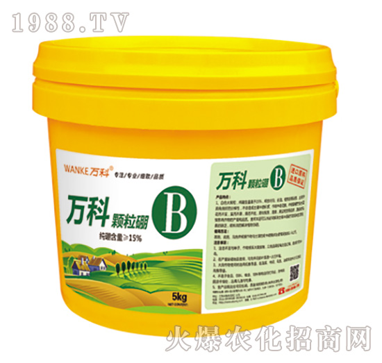 �w����-�f��