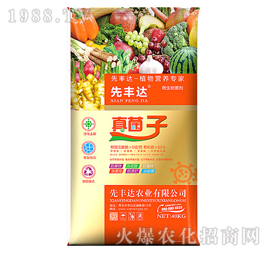 ֲ��I(y��ng)�B(y��ng)����-�����-���S�_(d��)