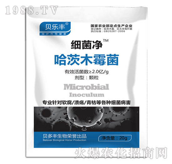 ����ľù��-������-ؐ���S