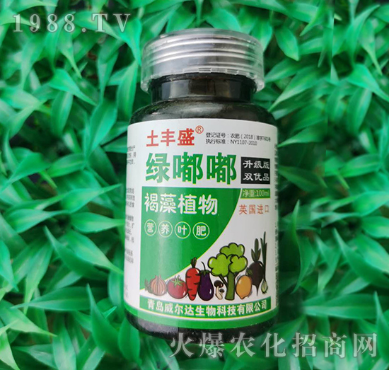 綠嘟嘟-土豐盛-威爾達(dá)