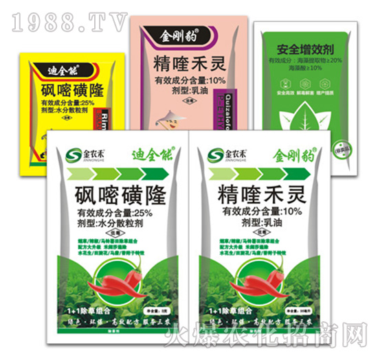 ��ȫ��+������-�ݵ�˹