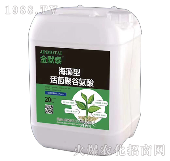 �������۹Ȱ���-��Ĭ̩-��֮�{