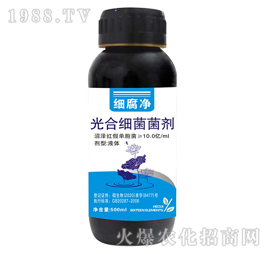 ��ϼ�������-������-����