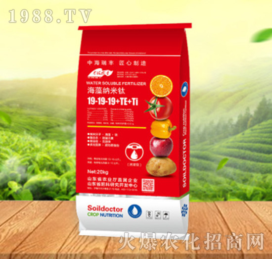 ����{����19-19-19+TE+Ti-���ԁ��(l��)