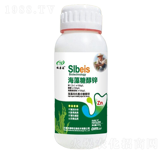 �����Ǵ��\-ʩ��ɭ-��ɭ��