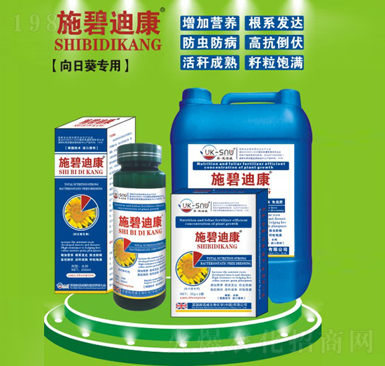 ���տ����÷�-ʩ�̵Ͽ�-ʩ�Z��