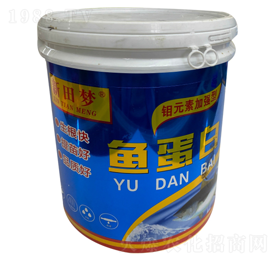 �~(y��)����-�����(m��ng)-�µ����