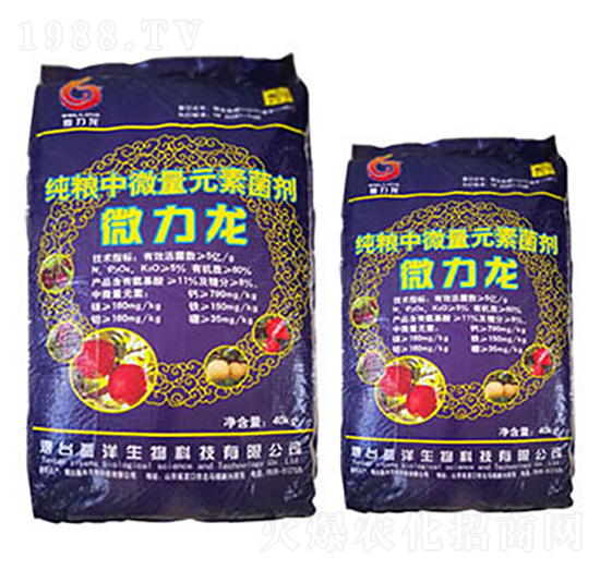 ���Z��΢��Ԫ�ؾ���-΢����-��������