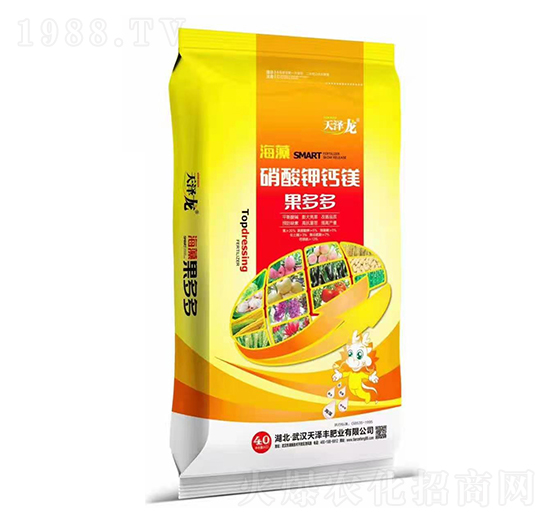 ����������}�V-�����-�����