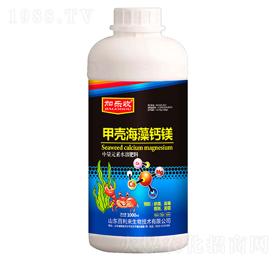 ƿ�b�ך������}�V-�Ә���-������