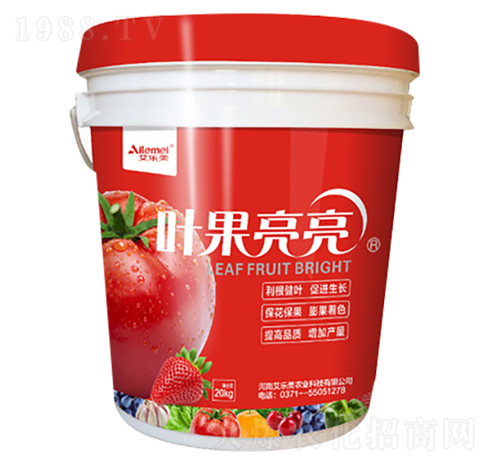 �ѹ����÷�-�~������-������