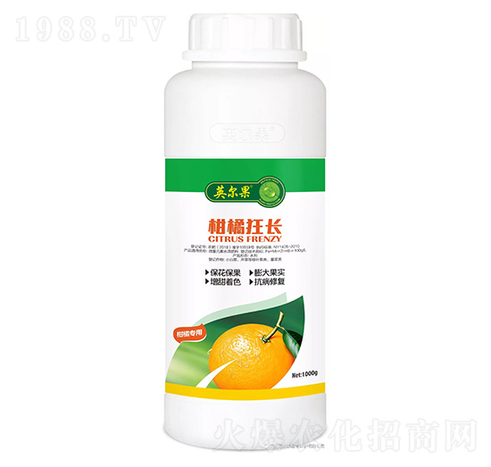 ���ٿ��L(zh��ng)-Ӣ����