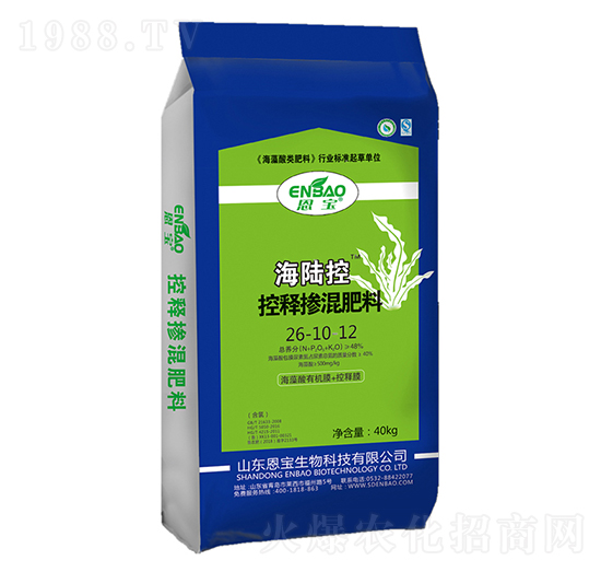 ��ጓ������26-10-12-��ꑿ�-����