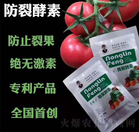 ���ѽ���-�r(n��ng)���L(f��ng)-��S��