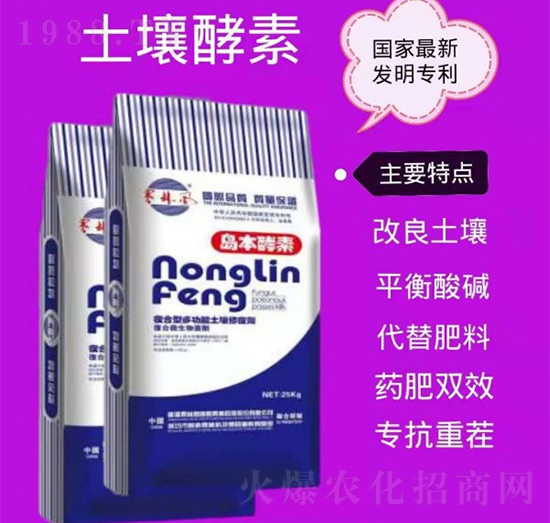 �๦�������ޏ̈́�-�u������-��S��