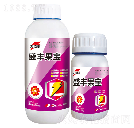 ʢ�S����-����