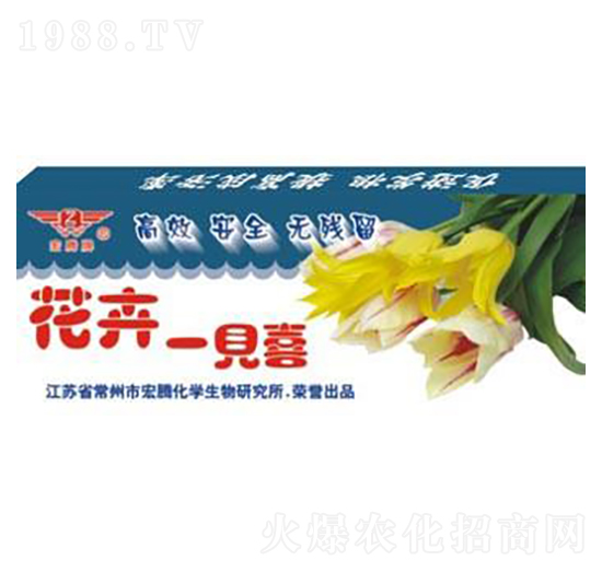 ����һҊ(ji��n)ϲ-���v����