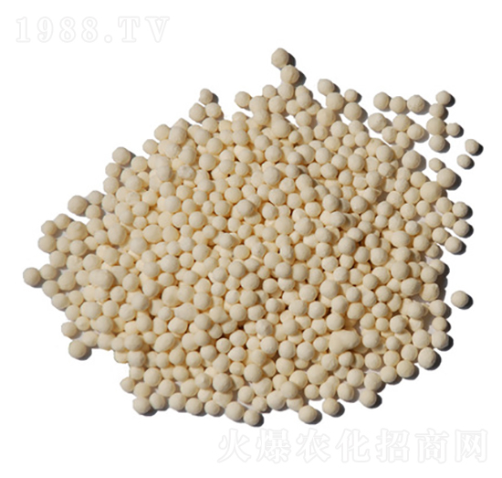 �w���\��-ïʩ���B(t��i)��