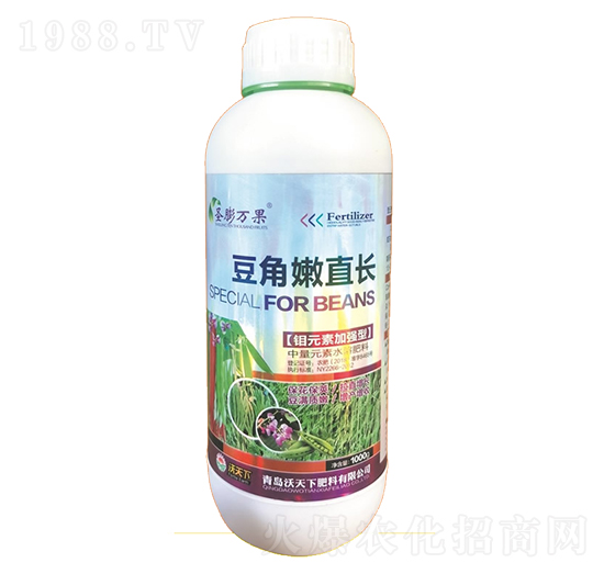 ������ֱ�L-ʥ���f��-������