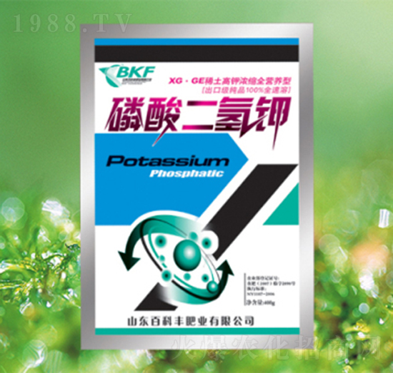 �������⛣�����-�ٿ��S