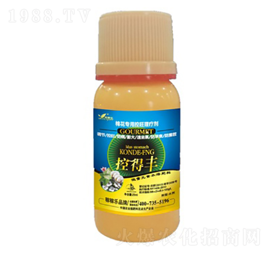 �޻���������������-�ص��S-�ڼژ�