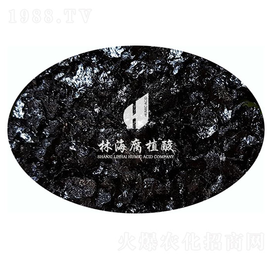 ���VԴ�S�����-�ֺ���ֲ��