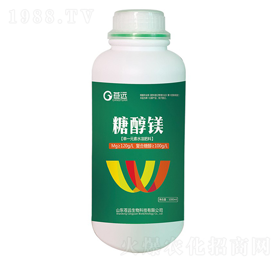 �Ǵ��V-�n�h����