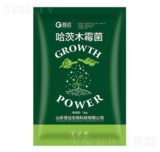 1kg����ľù��-�n�h����