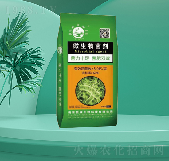 40kg΢�������-�㶦����