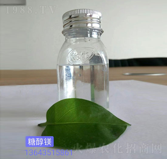 �Ǵ��V-��������