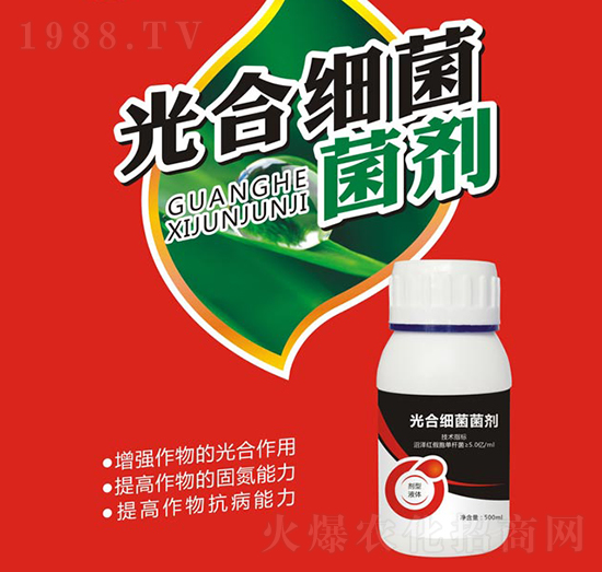 ��ϼ�(x��)������-�W����