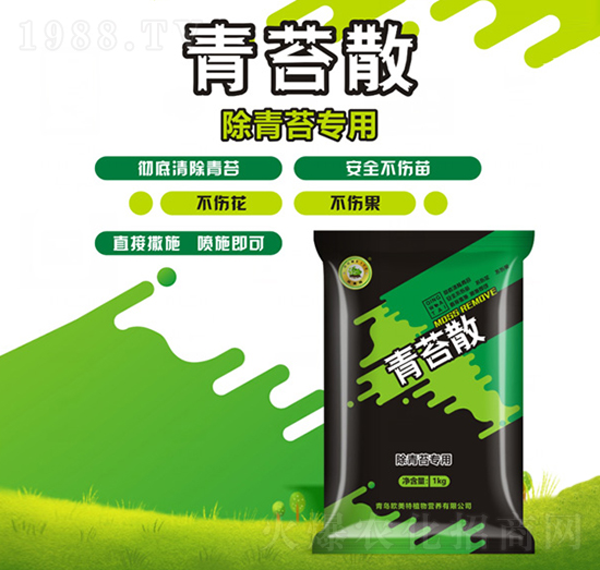 ����̦������̦ɢ-�W����