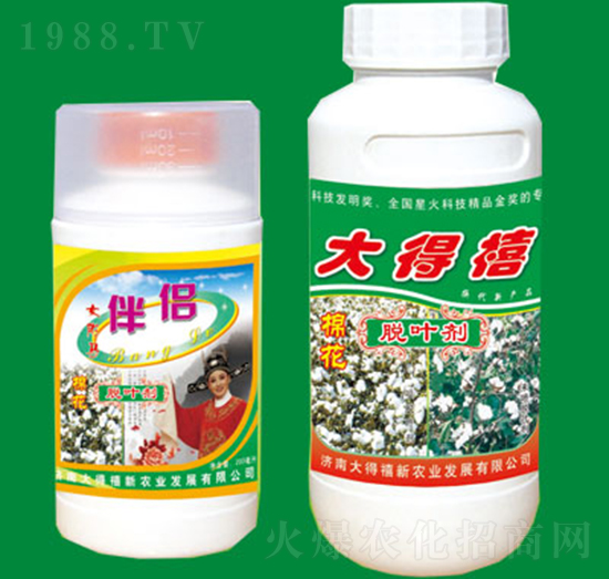 �޻�Ó�~��-�����