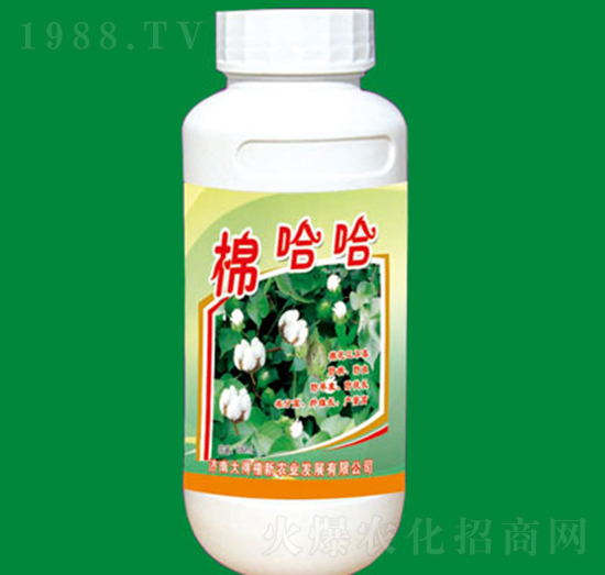 �޻�������-�޹���-�����