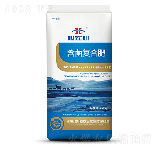 �����ͺϷ�-���B��