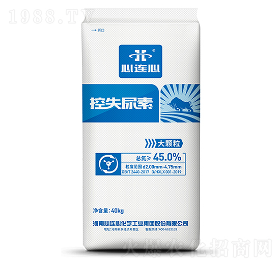 ��ʧ����-���B��