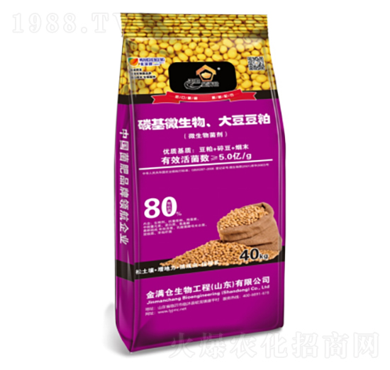 ̼��΢�������󶹶���-��M�}